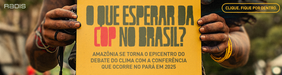 O que esperar da COP no Brasil