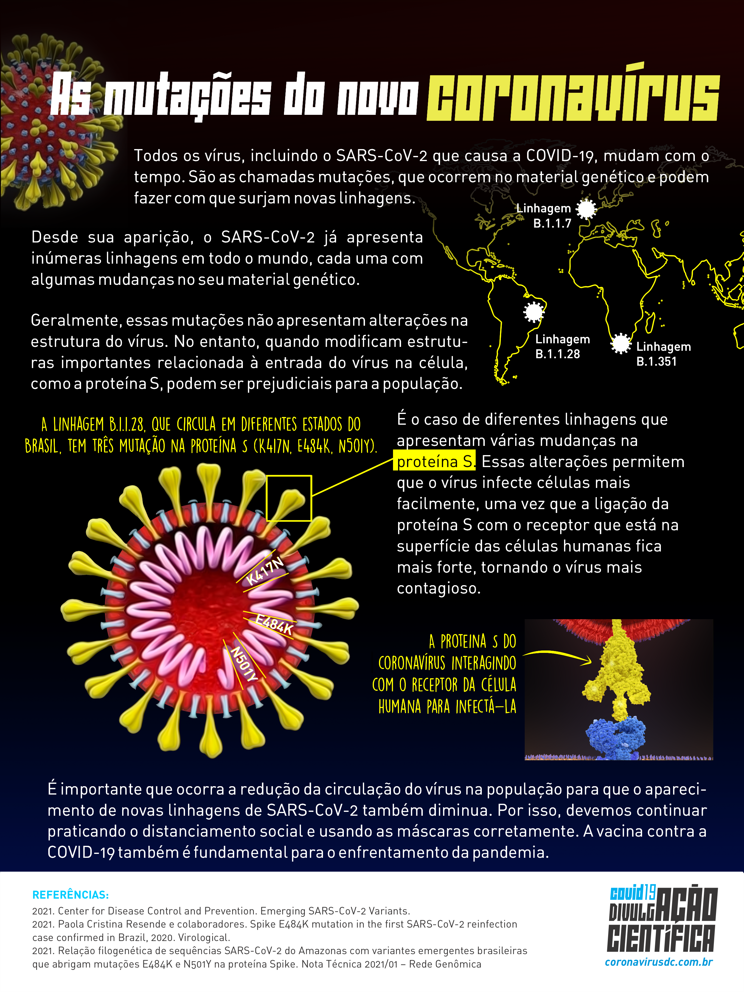 INCT/Fiocruz