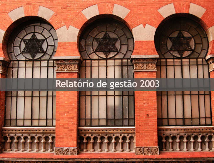 Relatório de gestão 2003