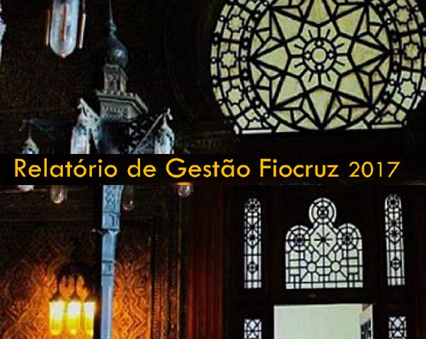 Relatório de gestão 2017