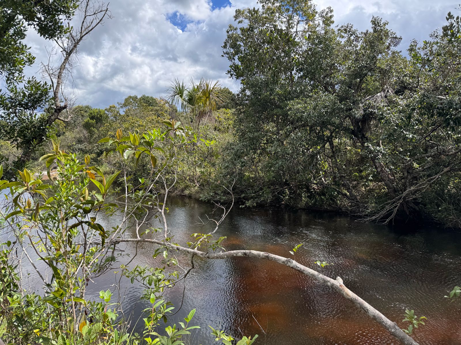 Paisagem do Cerrado