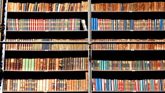 Estante de livros