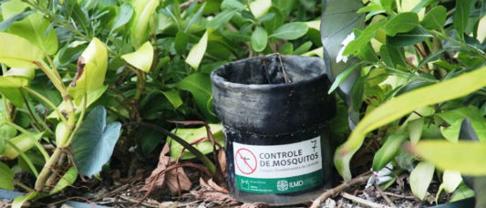 Armadilha usada contra os mosquitos