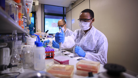 Foto de dois cientistas trabalhando em um laboratório