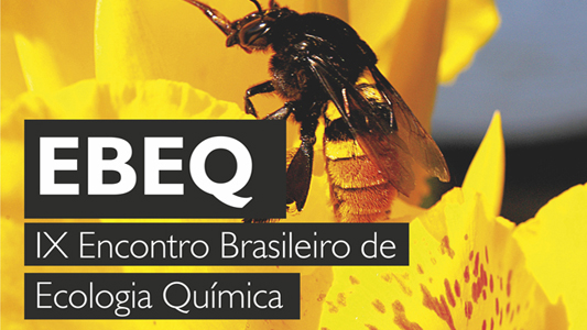 Foto do folder de divulgação do encontro