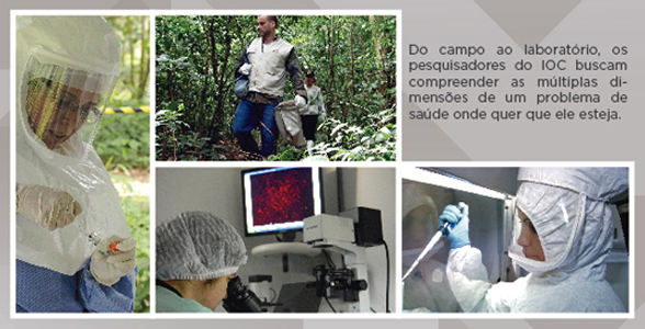 Montagem com quatro fotos que exemplificam o trabalho feito pelo IOC
