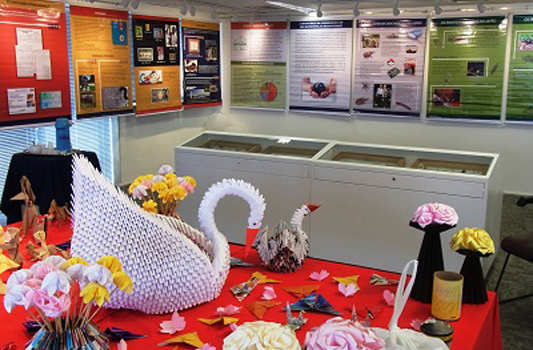 Insetos e origamis de insetos na exposição