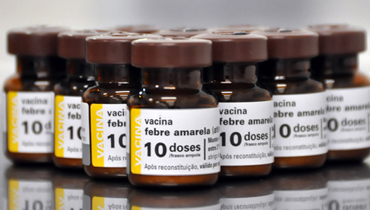 Frascos da vacina para febre amarela