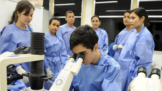 Aula em laboratório do IOC