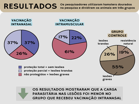 Infográfico com os números da pesquisa