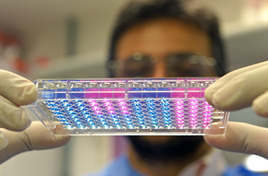 Foto de cientista trabalhando