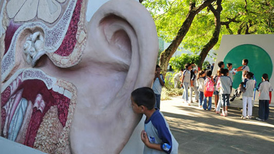 Menino visitando o Museu da Vida