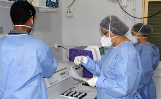 Pesquisadores analisando amostras de testes de Covid-19