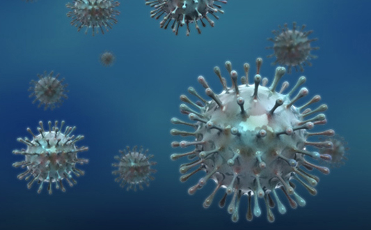 Vírus influenza