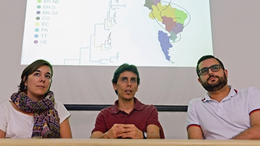 Três pesquisadores reunidos em uma mesa