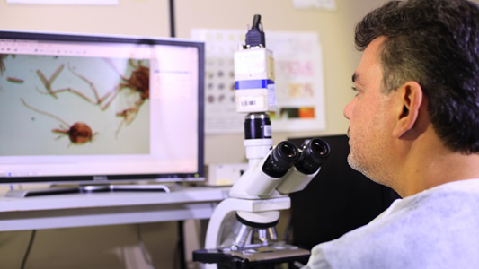Foto de pesquisador usando um microscópio