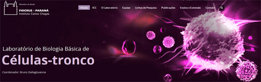 Foto departe da capa do site