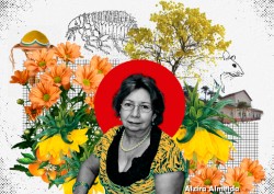 Alzira Almeida
