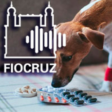 Cachorro sentindo o cheiro de comprimidos