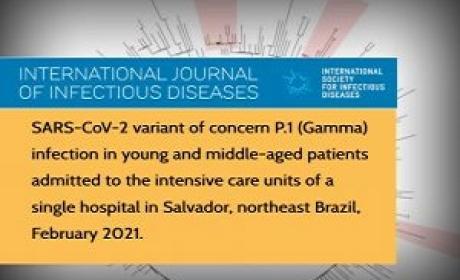 Imagem: Fiocruz Bahia Estudo descreve mudanças no perfil de pacientes com Covid-19 grave