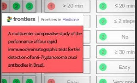 Imagem: divulgação Frontiers in Medicine