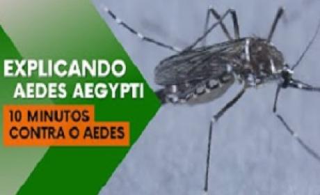 Explicando o Aedes Aegypti