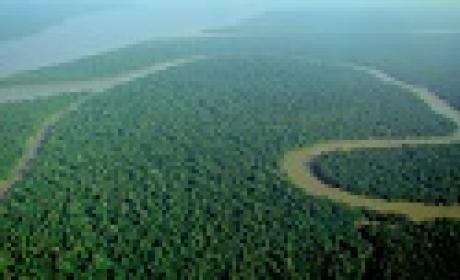 The Solimões River(Photo: Iubasi/Creative Commons)
