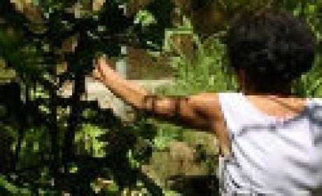Foto: Acervo Fiocruz Foto de mulher em um pomar