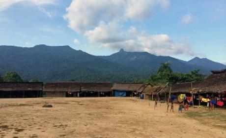 Foto: Acervo pessoal Aldeia Yanomami