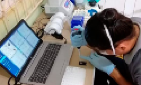 Imagem: ICC/Fiocruz Paraná Pesquisador trabalhando no laboratório
