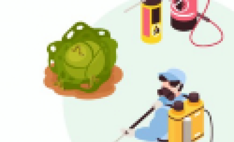 Imagem: Freepik Desenho de um homem borrifando agrotóxico em um pé de alface