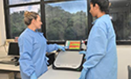 Pesquisadoras padronizaram ensaio baseado em pseudovírus para detecção de anticorpos neutralizantes contra o SARS-CoV-2 e avaliaram amostras de mais de cem pacientes