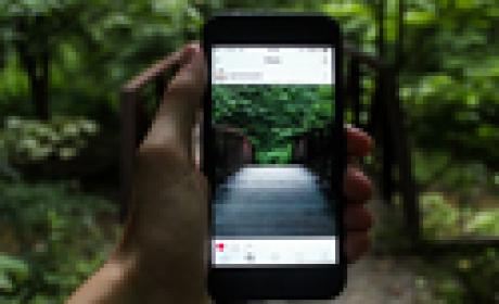 Pessoa fotografando uma floresta com o celular