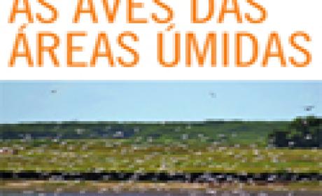 Capa do artigo publicado mostra ecossistema em área úmida
