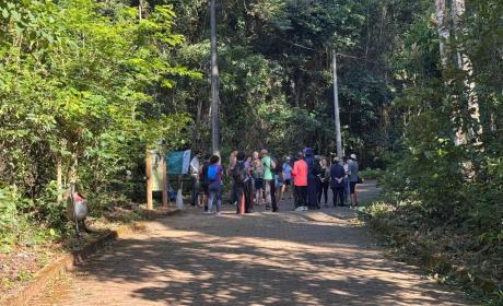Grupo de banho de floresta no Parque Nacional de Brasília 