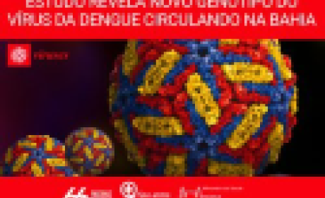 Imagem: Fiocruz Bahia Estudo revela novo genótipo do vírus da dengue circulando na Bahia