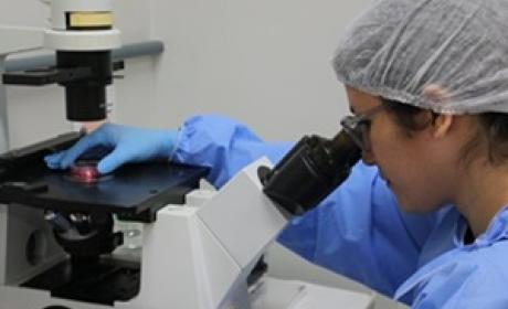 Foto: Josué Damacena (IOC/Fiocruz)