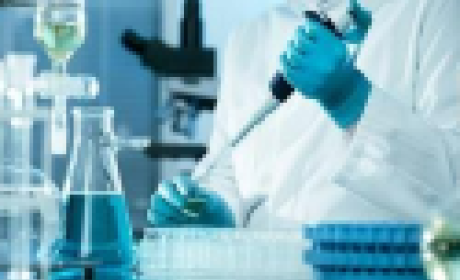 Imagem: ABC Pesquisador trabalhando no laboratório