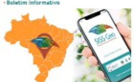 Imagem: SISS-Geo Boletim informativo SISS-Geo