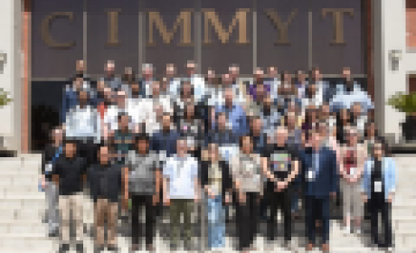 Participantes do Dataverse Community 2024