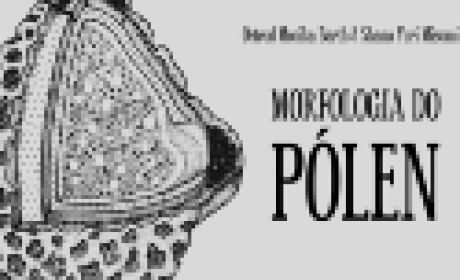 Imagem: IOC Morfologia do Pólen