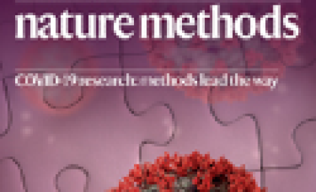 Imagem: divulgação Nature Methods