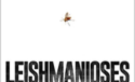 Leishmanioses é o tema da edição de agosto. Imagem: Radis Imagem da palavra Leishmanioses e o mosquito