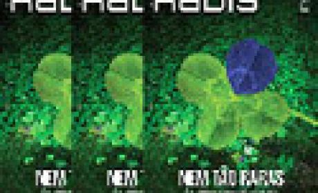 No Brasil, doenças raras atingem cerca de 13 milhões de pessoas Capa da revista Radis 149
