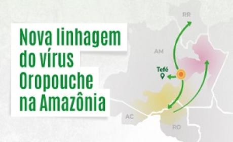 Nova linhagem do vírus oroupoche na Amazônia