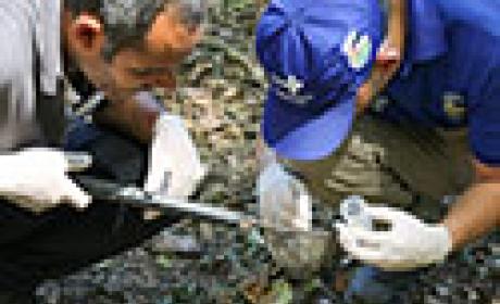 Capacitação envolveu aulas práticas no campus da Fiocruz em Manguinhos 