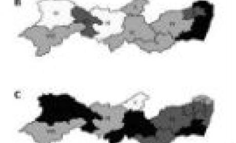 Imagem: Fiocruz Pernambuco Dois mapas de Pernambuco mostrando os números de casos antes e depois