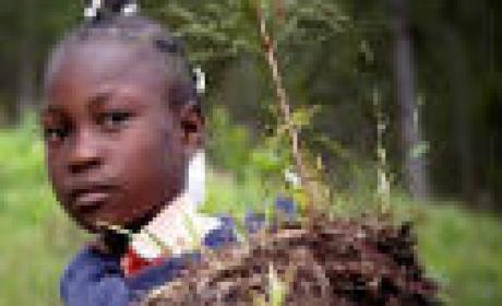 Foto: divulgação Imagem de jovem com mudas de plantas nas mãos