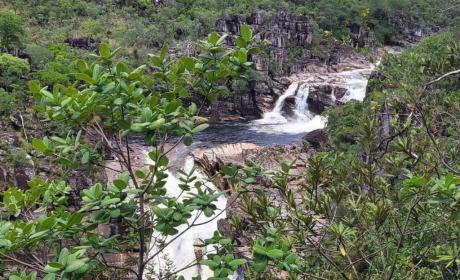 Vegetação do Cerrado