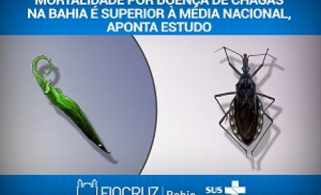 Barbeiro transmissor da doença de Chagas